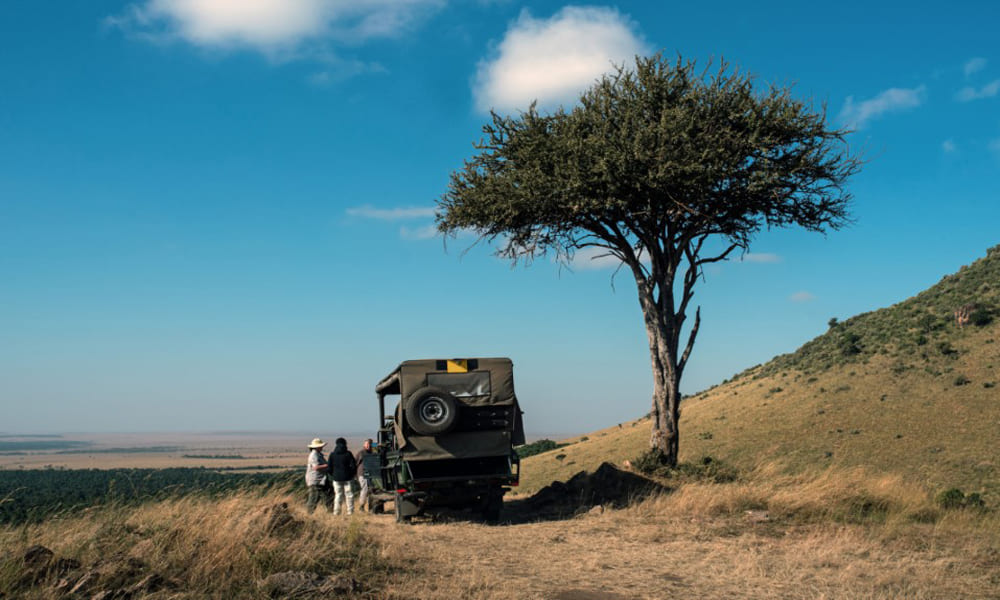 Petualangan Safari di Afrika: Ke Mana Harus Pergi