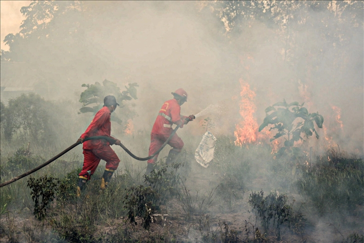 Penyebab Kebakaran Hutan: Ancaman Serius bagi Lingkungan